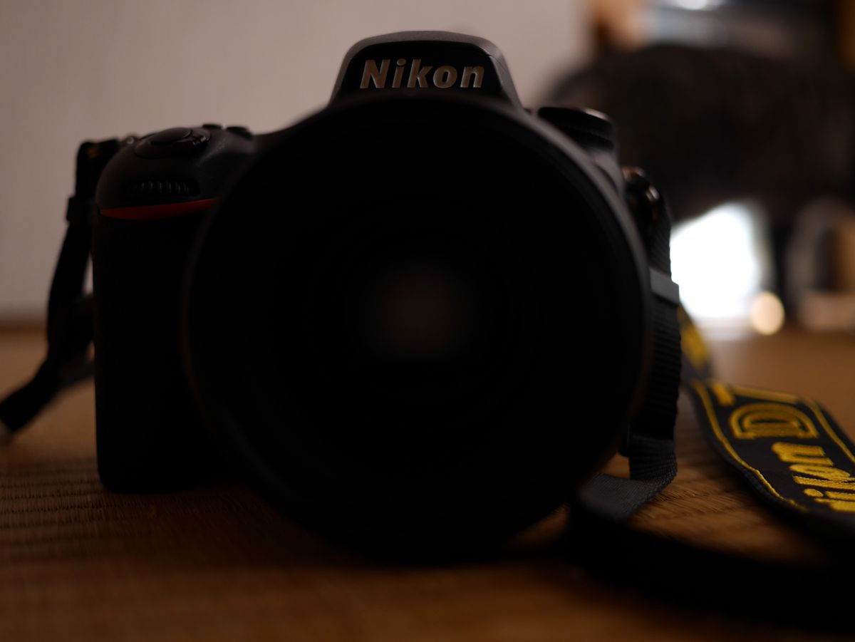 【ショット数 8000回】✨Nikon D3100✨手ぶれ補正付♥七五三撮影♥ ショット数 8000回】✨Nikon D3100✨手ぶれ補正付♥七五三撮影♥