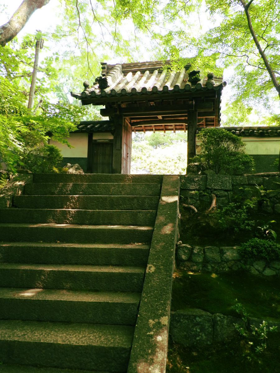 OLYMPUS SP-610UZで撮影された写真 | 写真検索 | GANREF