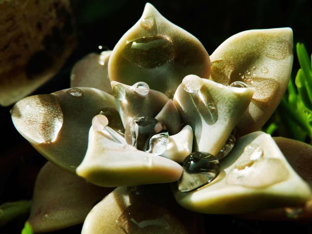 OLYMPUS SP-610UZで撮影された写真 | 写真検索 | GANREF