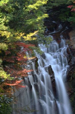 よっしぃーさんのポートフォリオ Ganref