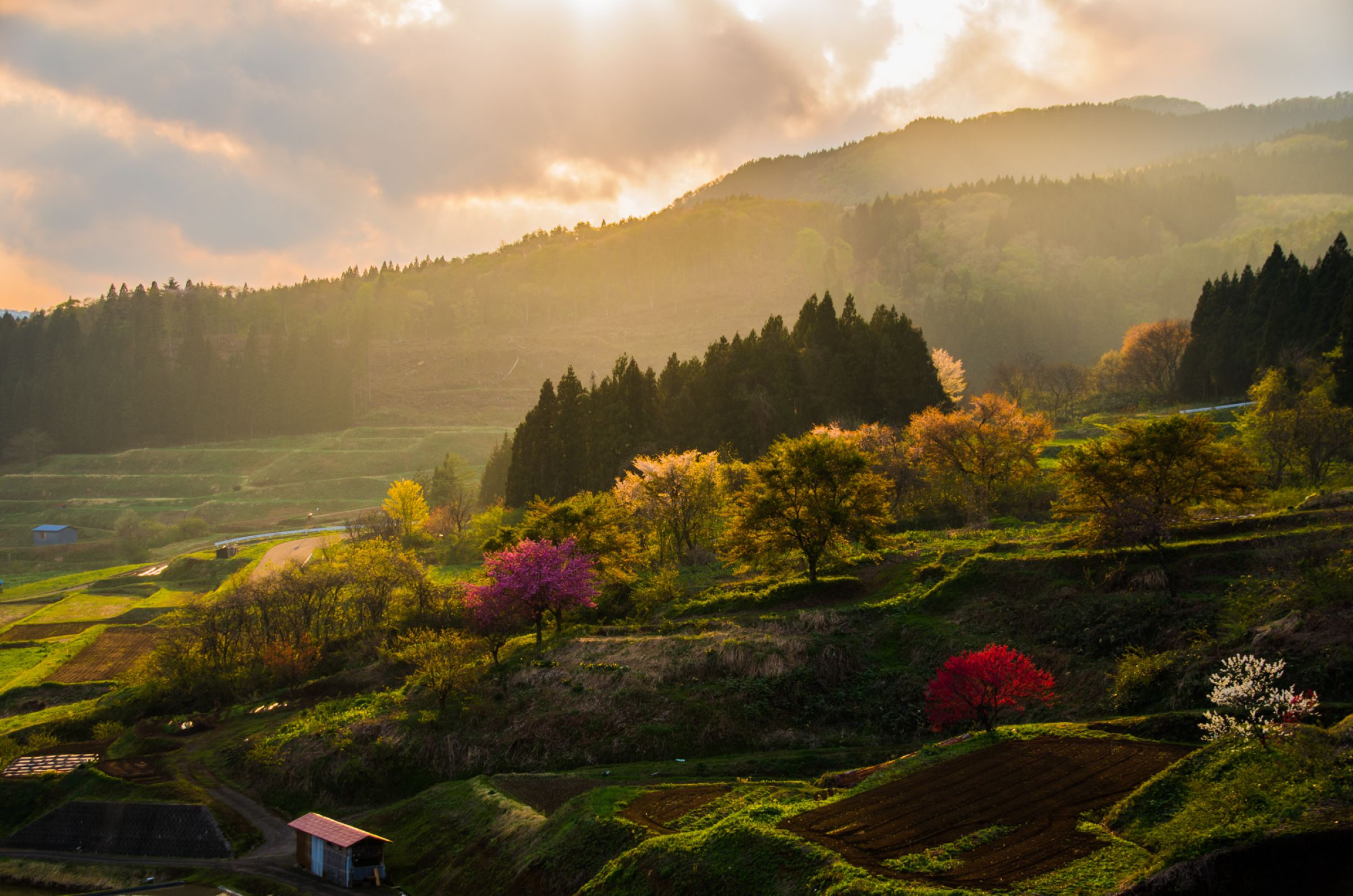 里山、のような景色 | GANREF