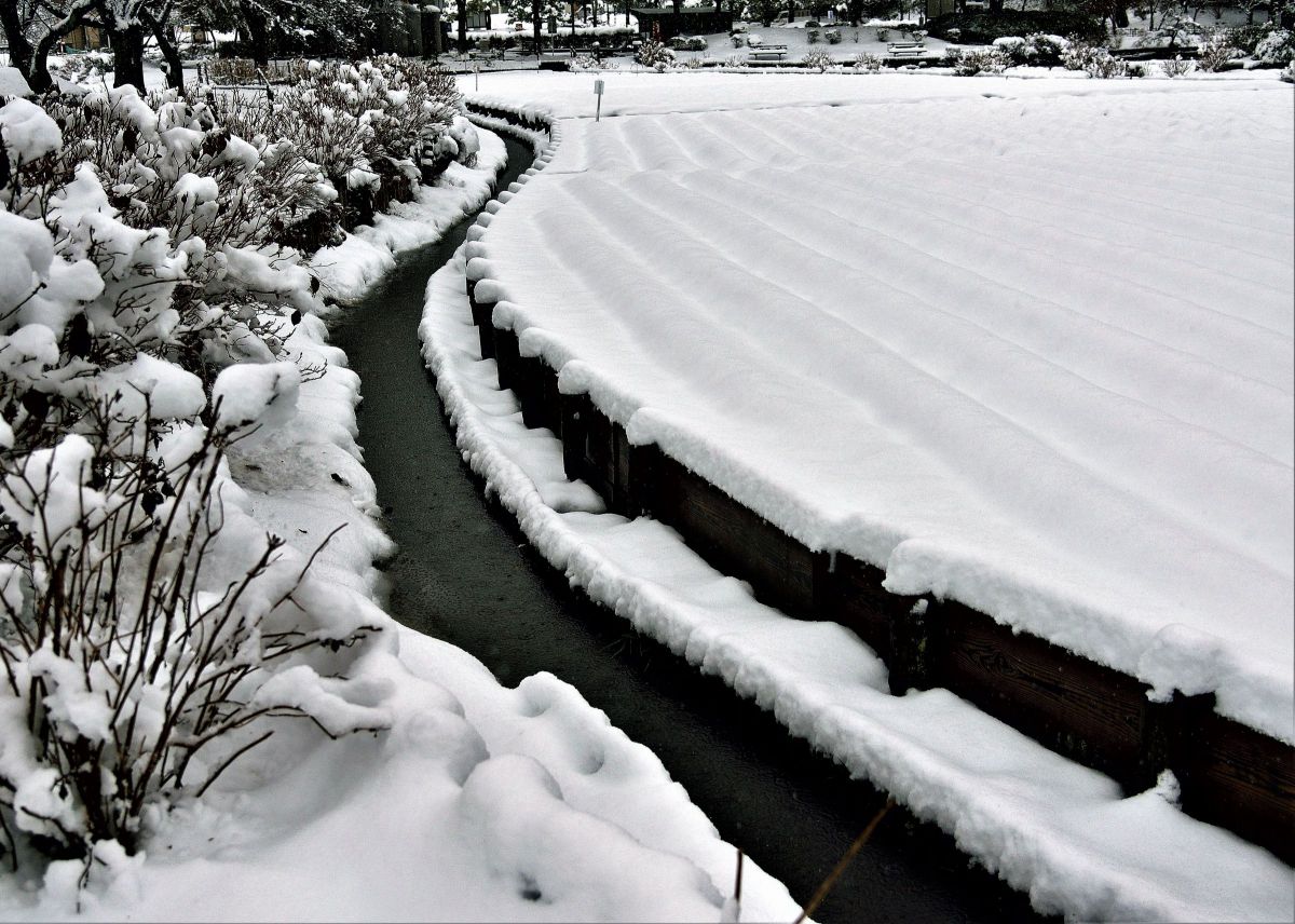 牡丹雪の景色 自然 風景 気象 天候 天気 Ganref