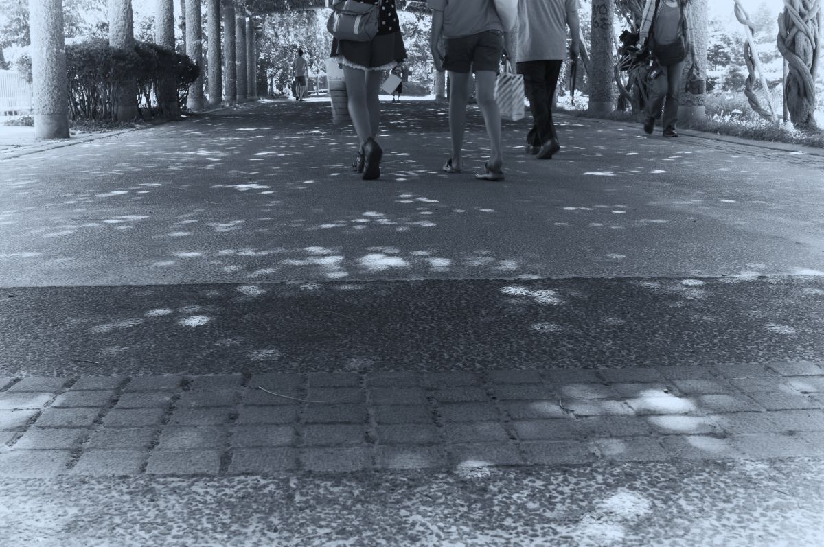 SIGMA 30mm F2.8 EX DNで撮影された写真 | 写真検索 | GANREF