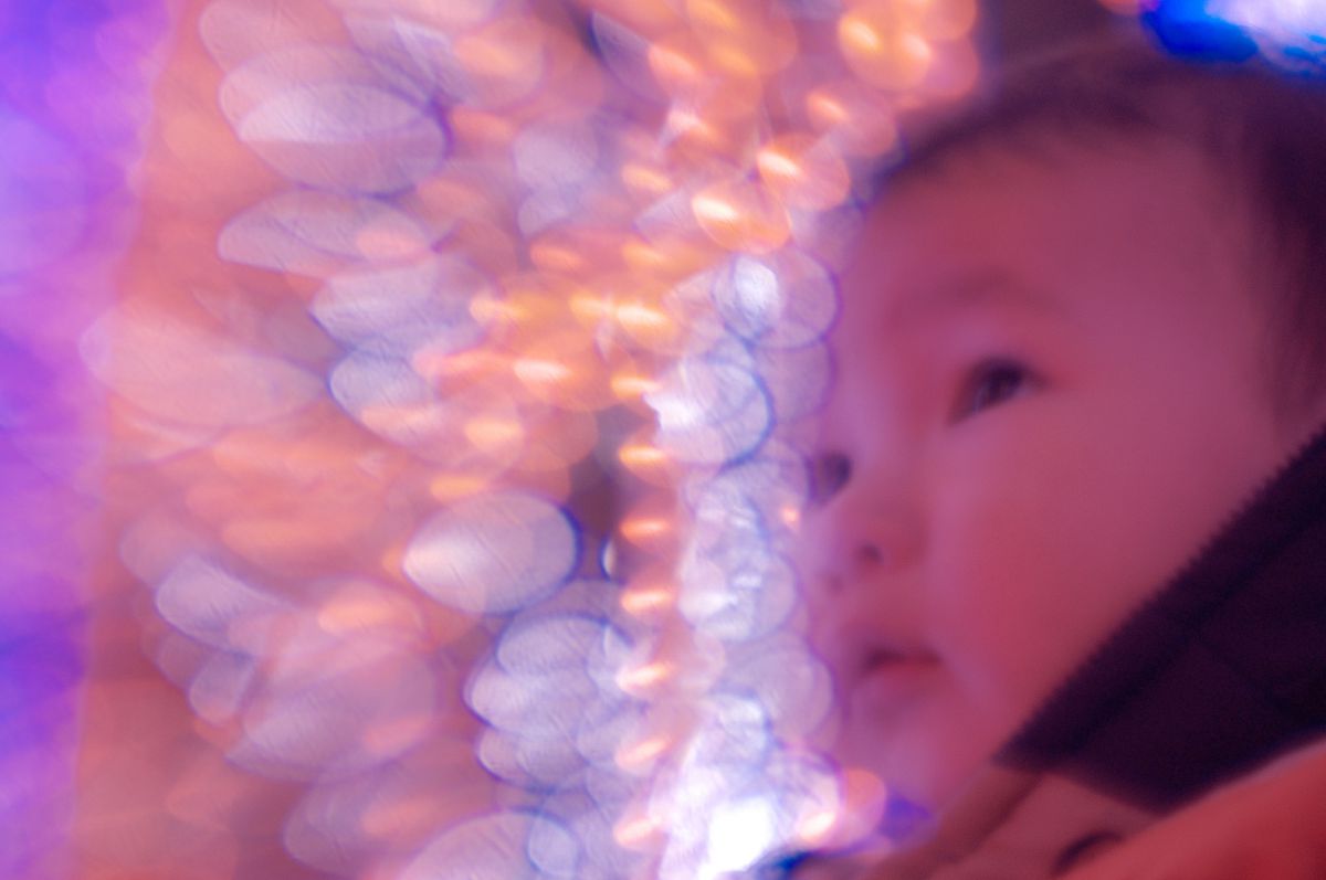 レンズベビー ミューズで撮影された写真 | 写真検索 | GANREF