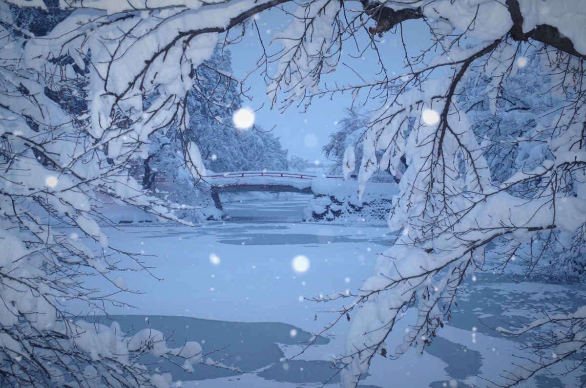 雪桜 自然 風景 気象 天候 天気 Ganref