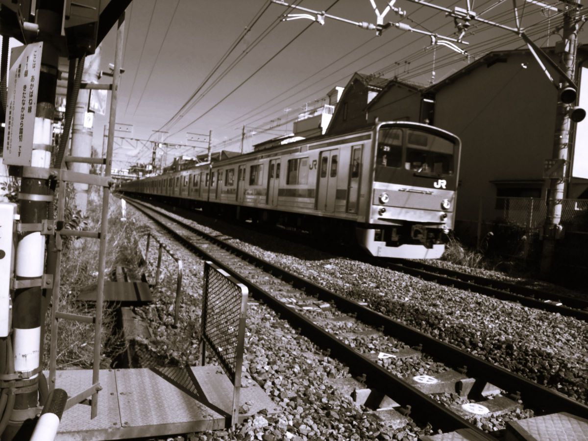 FinePix F100fdで撮影された写真 | 写真検索 | GANREF