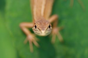 c4bceb7fa6d9460fe7951a3cb04f7d