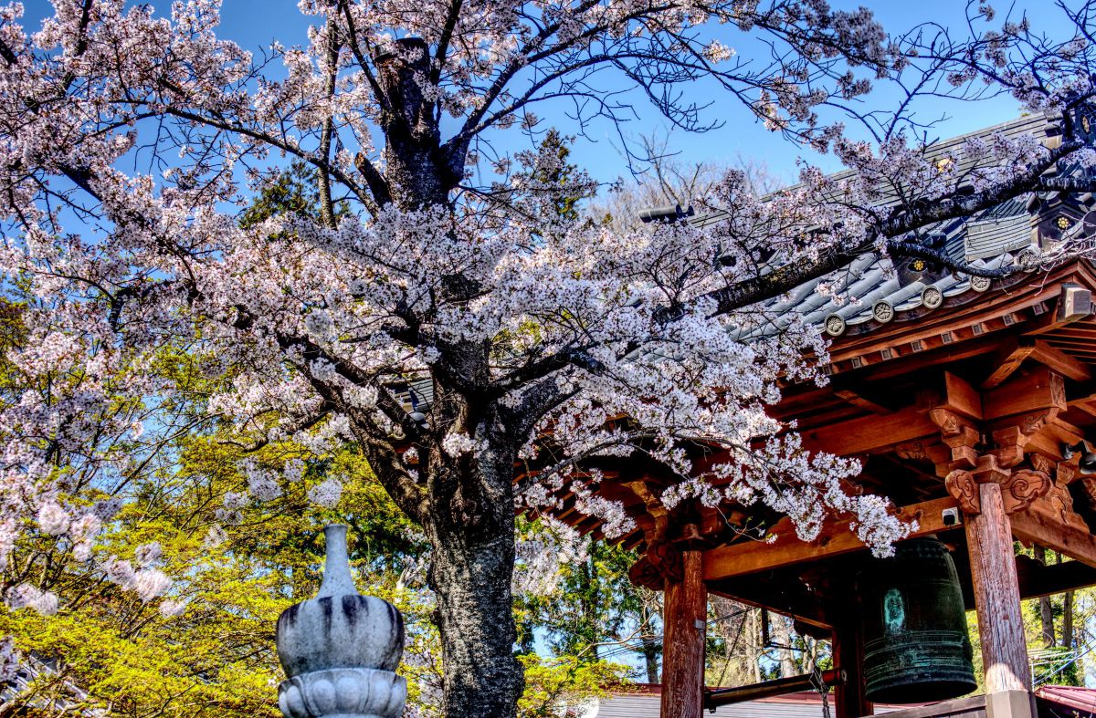 AF-S DX Zoom-Nikkor 55-200mm f/4-5.6G EDで撮影された写真 | 写真