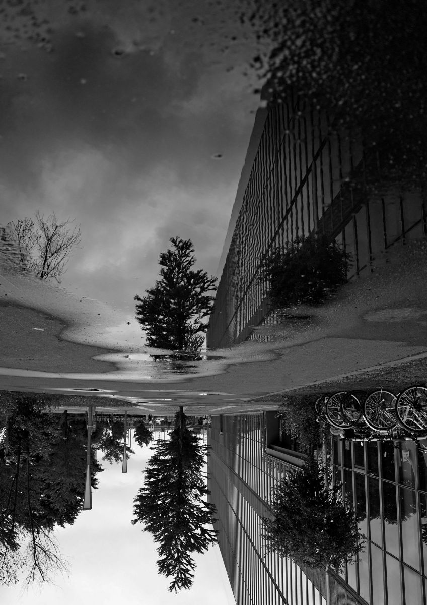 雨あがる。 GANREF