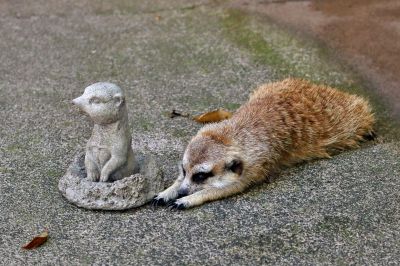 どっこいしょ | GANREF