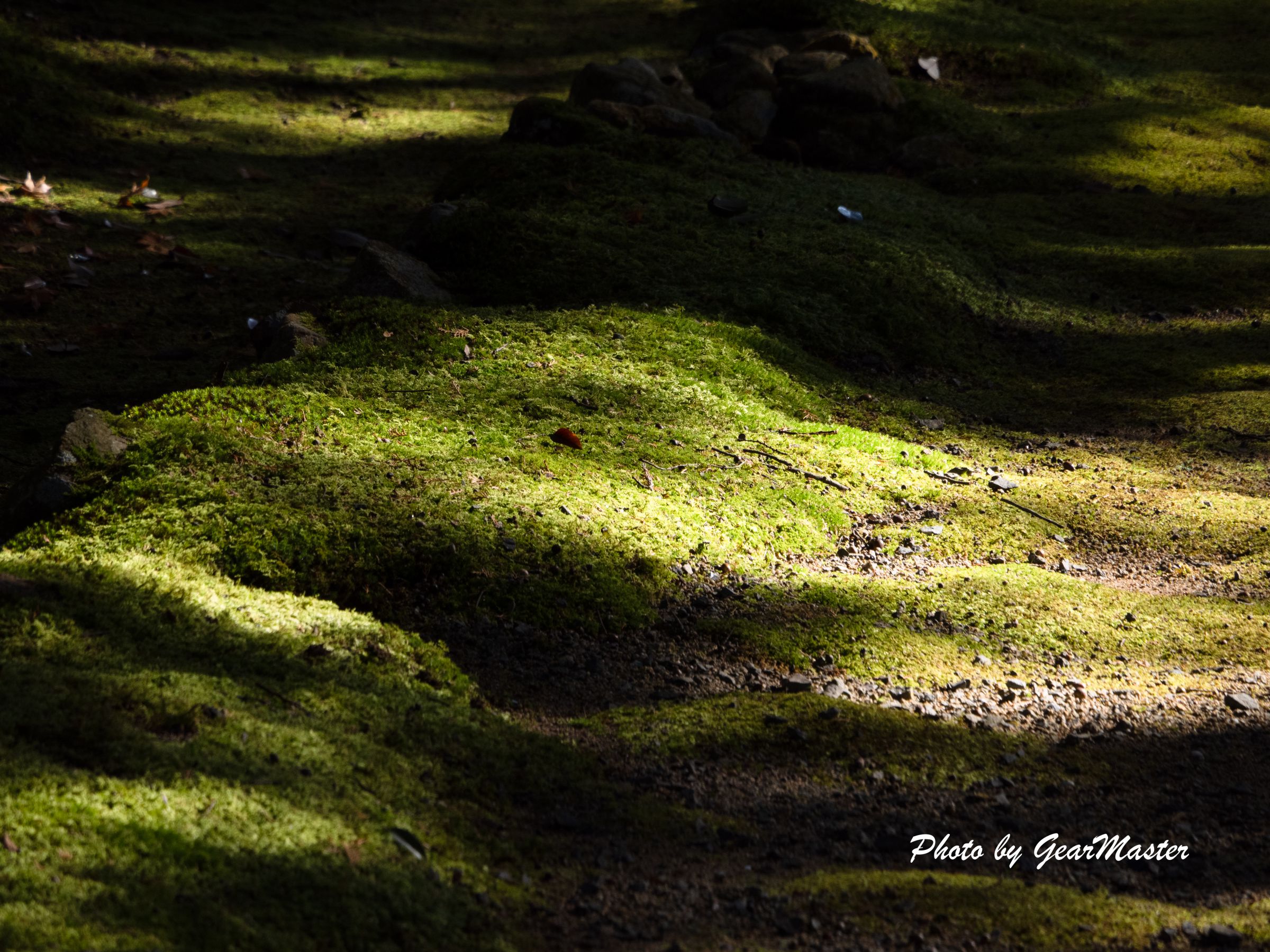 光と影 光と影 | GANREF