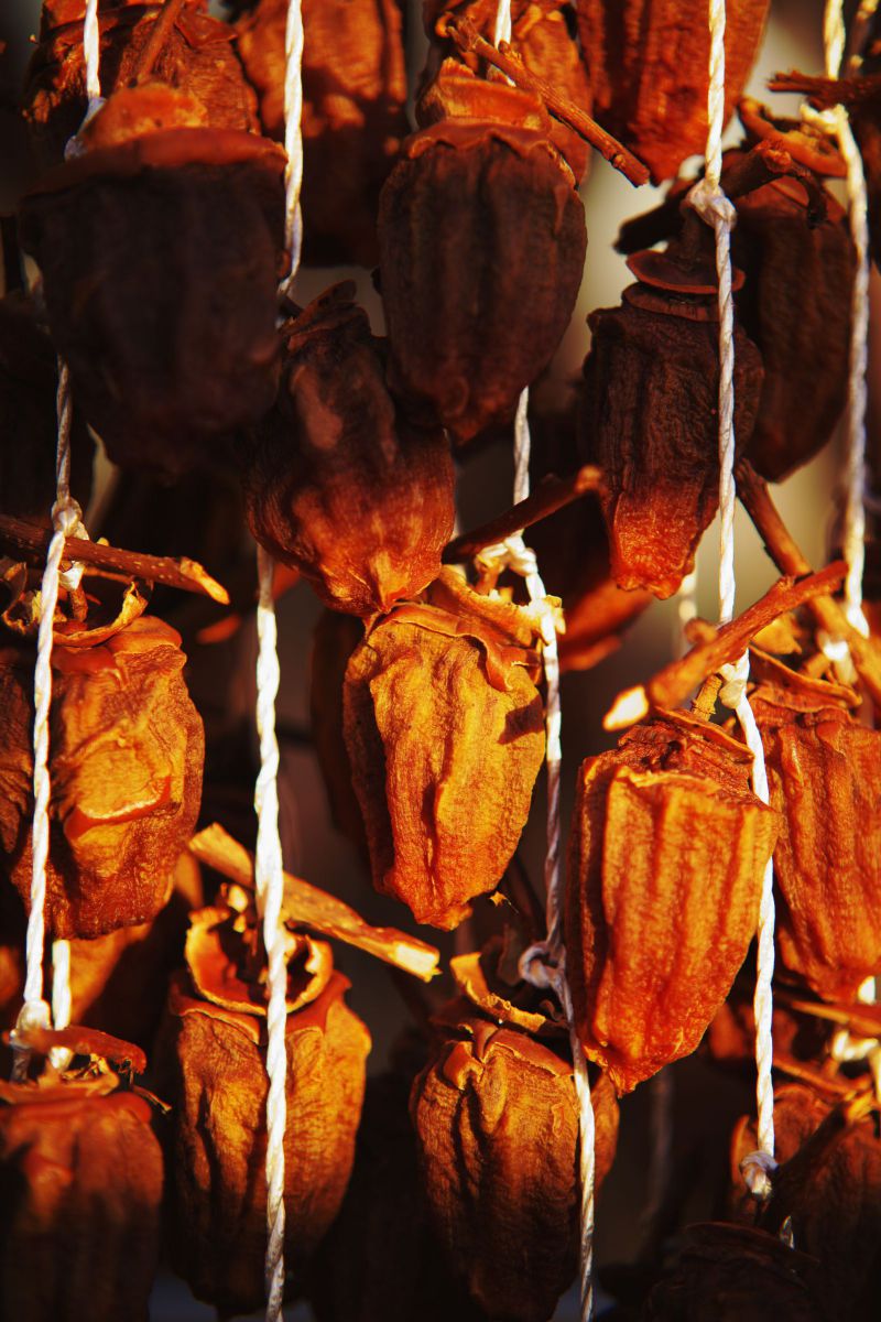 とある我家のしわしわ袋 食べ物 飲み物 フルーツ 果物 Ganref