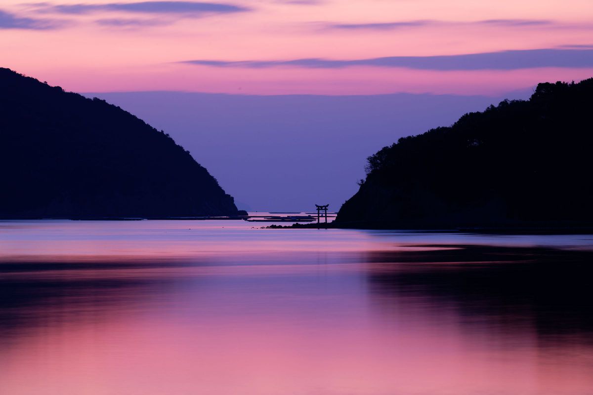APO 50-500mm F4-6.3 EX DG /HSMで撮影された写真 | 写真検索 | GANREF