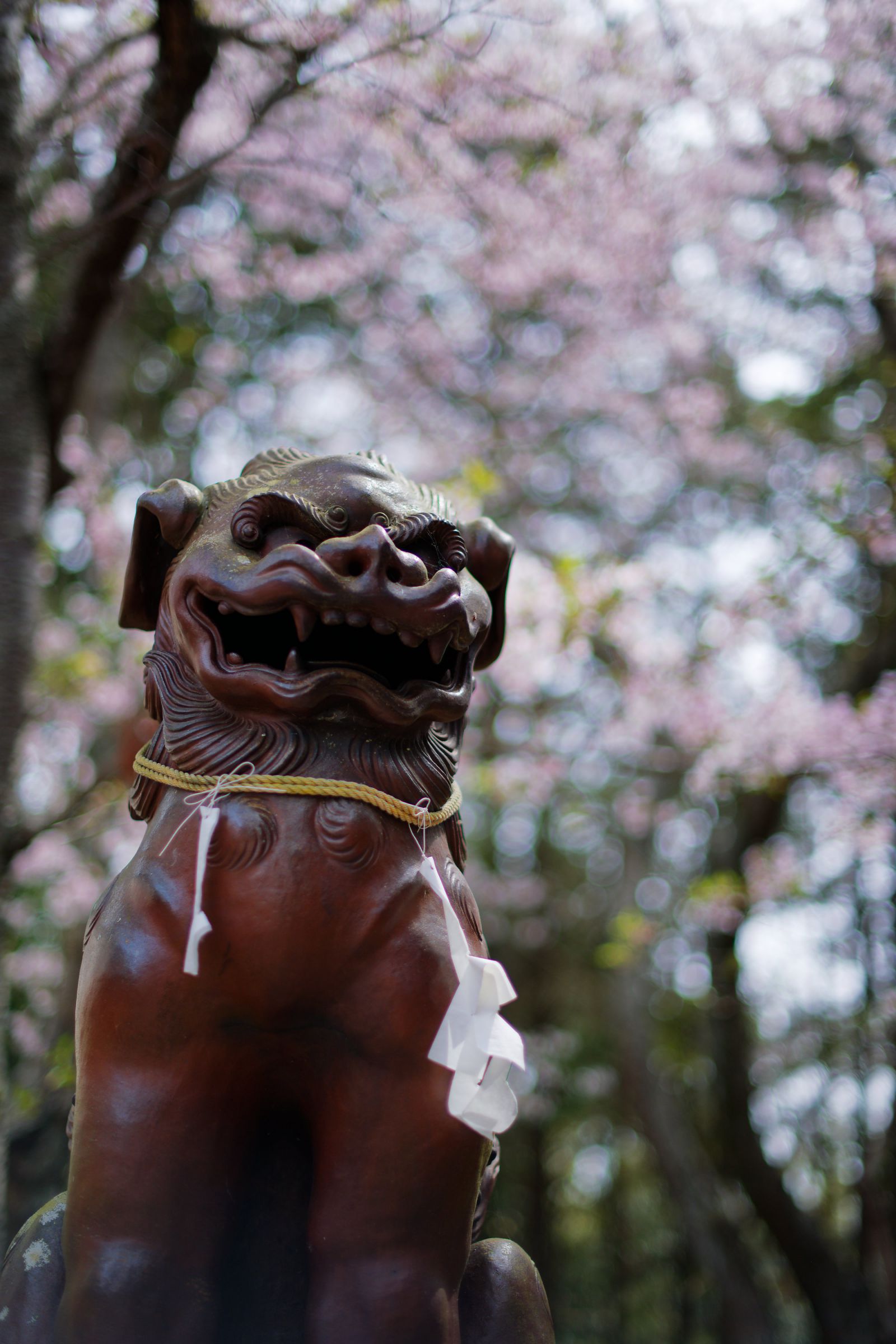 備前焼 狛犬