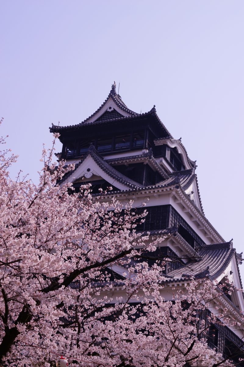 桜天守閣 熊本城 街並み 建物 城 宮殿 Ganref 桜天守閣 熊本城 街並み 建物 城 宮殿 Ganref