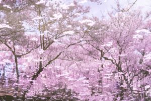 a1aecebb05a87cba2e4b339b1eafba