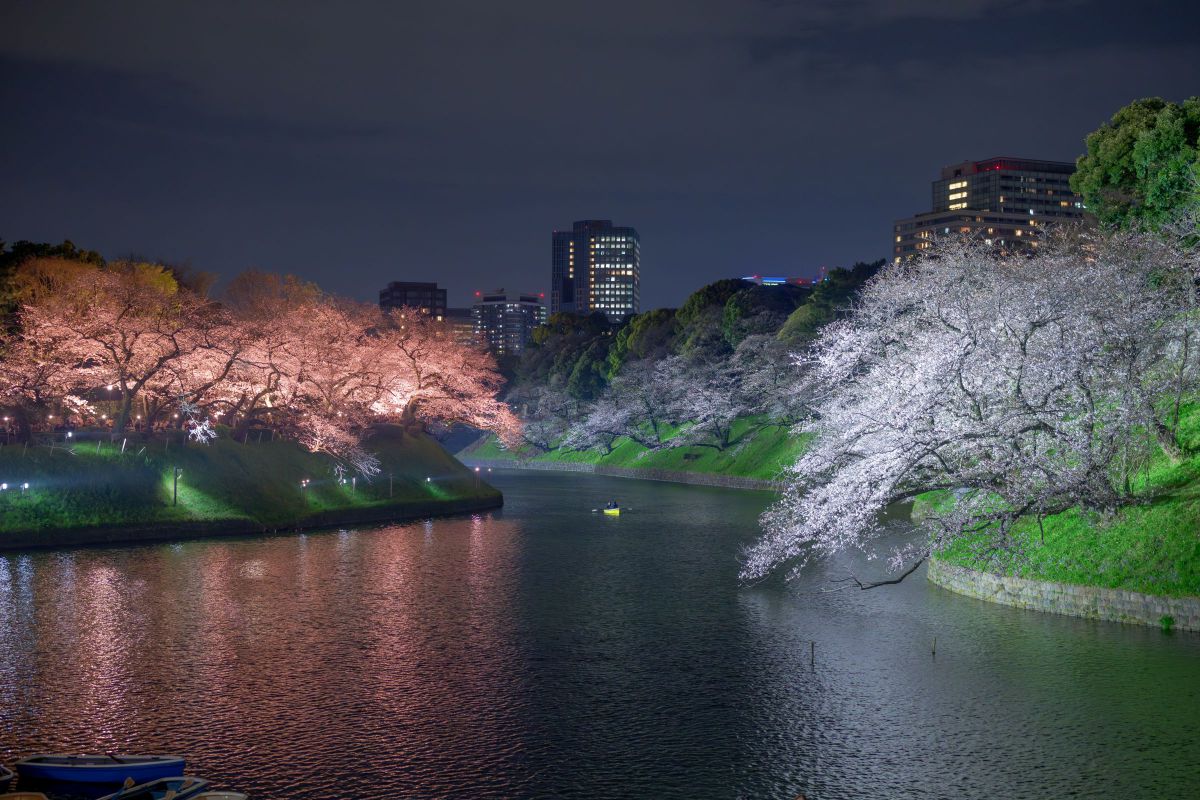 NIKKOR Z 50mm f/1.8 Sで撮影された写真 | 写真検索 | GANREF