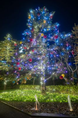 サンタがやってくる