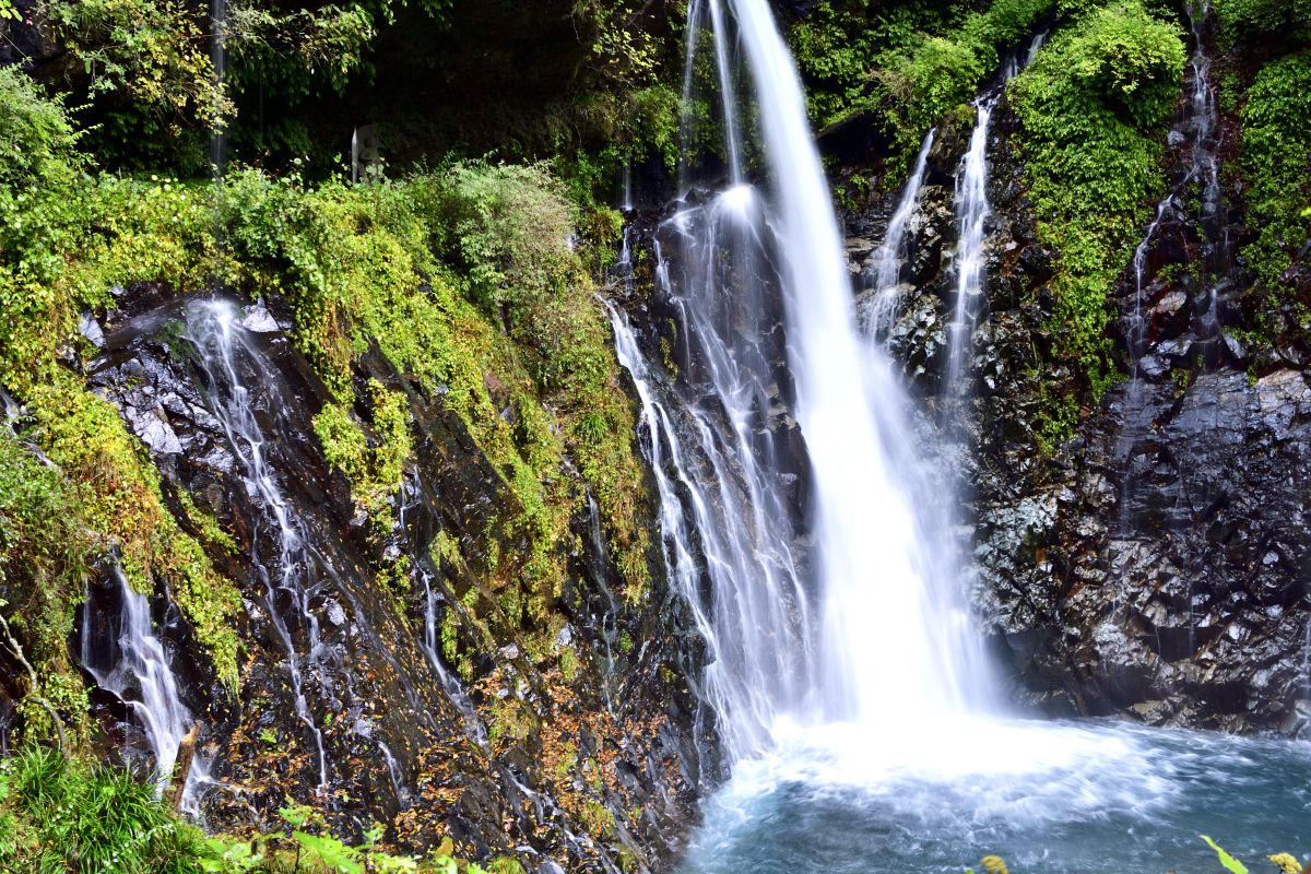 日光裏見の滝 自然 風景 滝 Ganref