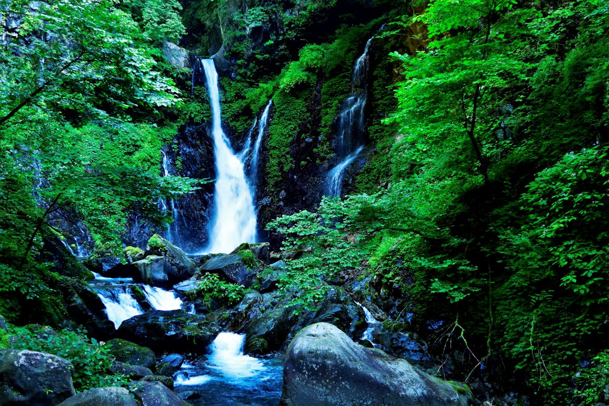 裏見の滝 自然 風景 滝 Ganref