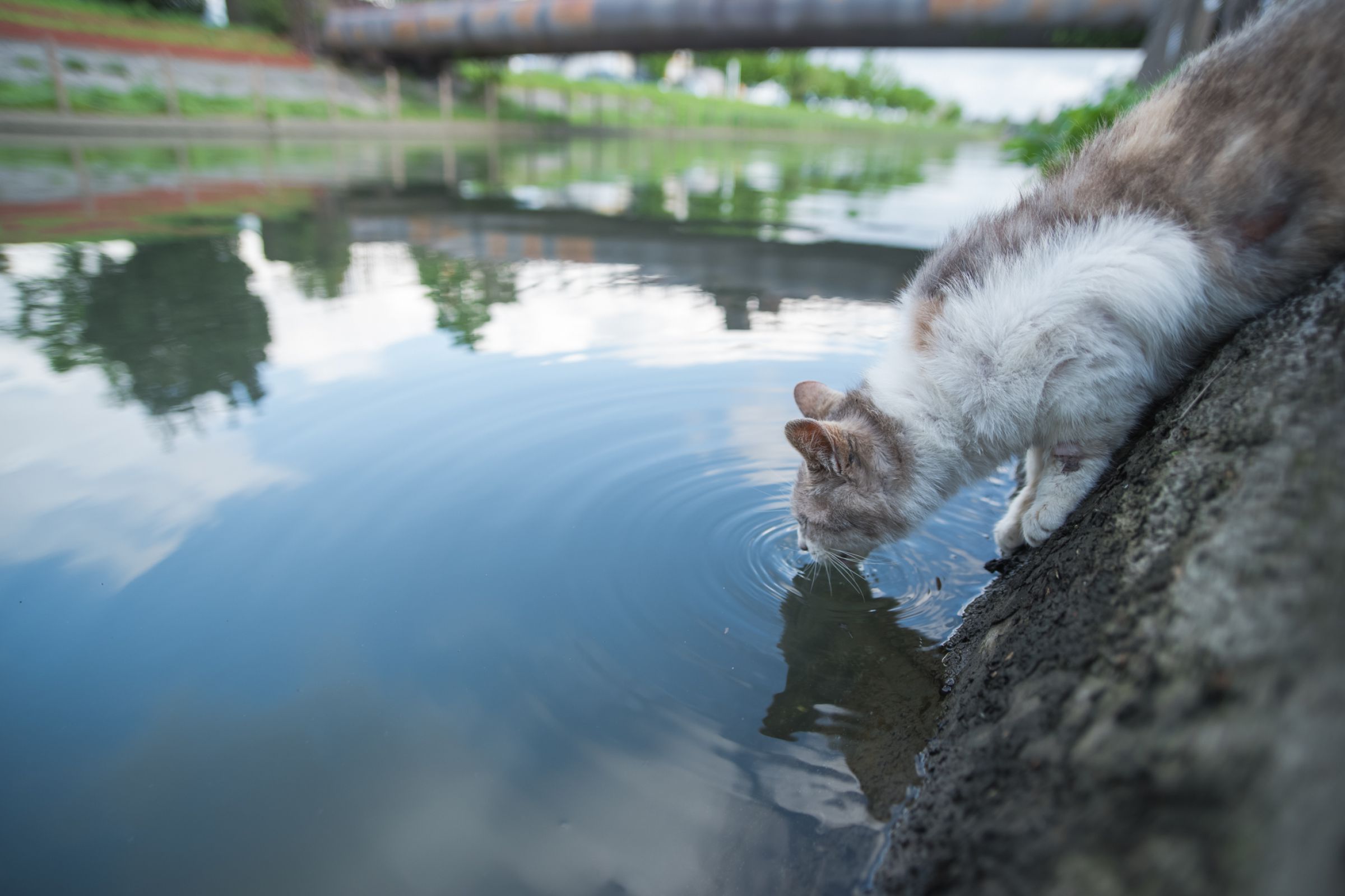 きわどい画像 きわどい〜っ | GANREF