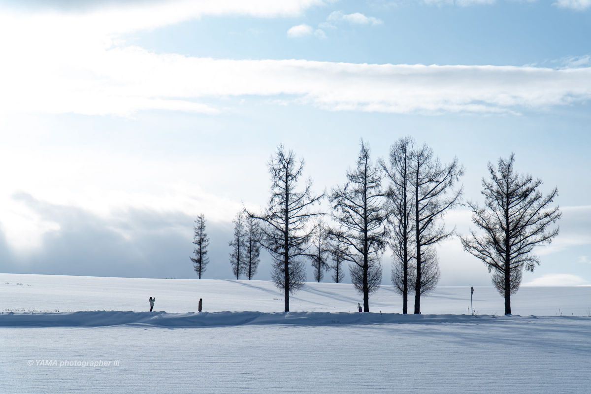 北海道美瑛町の風景 A4写真プリント ガラス入り額装 ～冬のマイルドセブンの丘～ 0_3dcef581d2e0d93de852a909b713