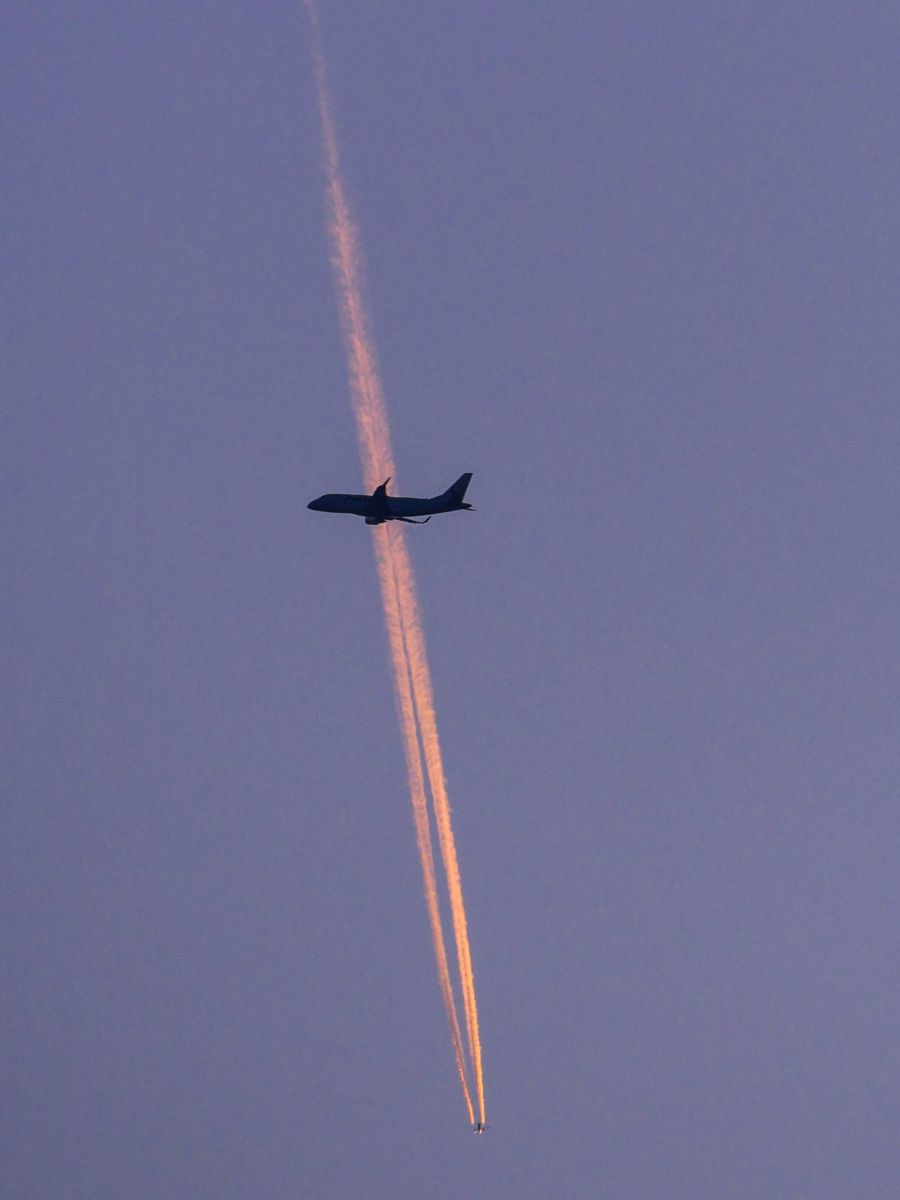 LUMIX G VARIO 100-300mm / F4.0-5.6 II / POWER O.I.S.で撮影 LUMIX G VARIO 100-300mm / F4.0-5.6 II / POWER O.I.S.で撮影
