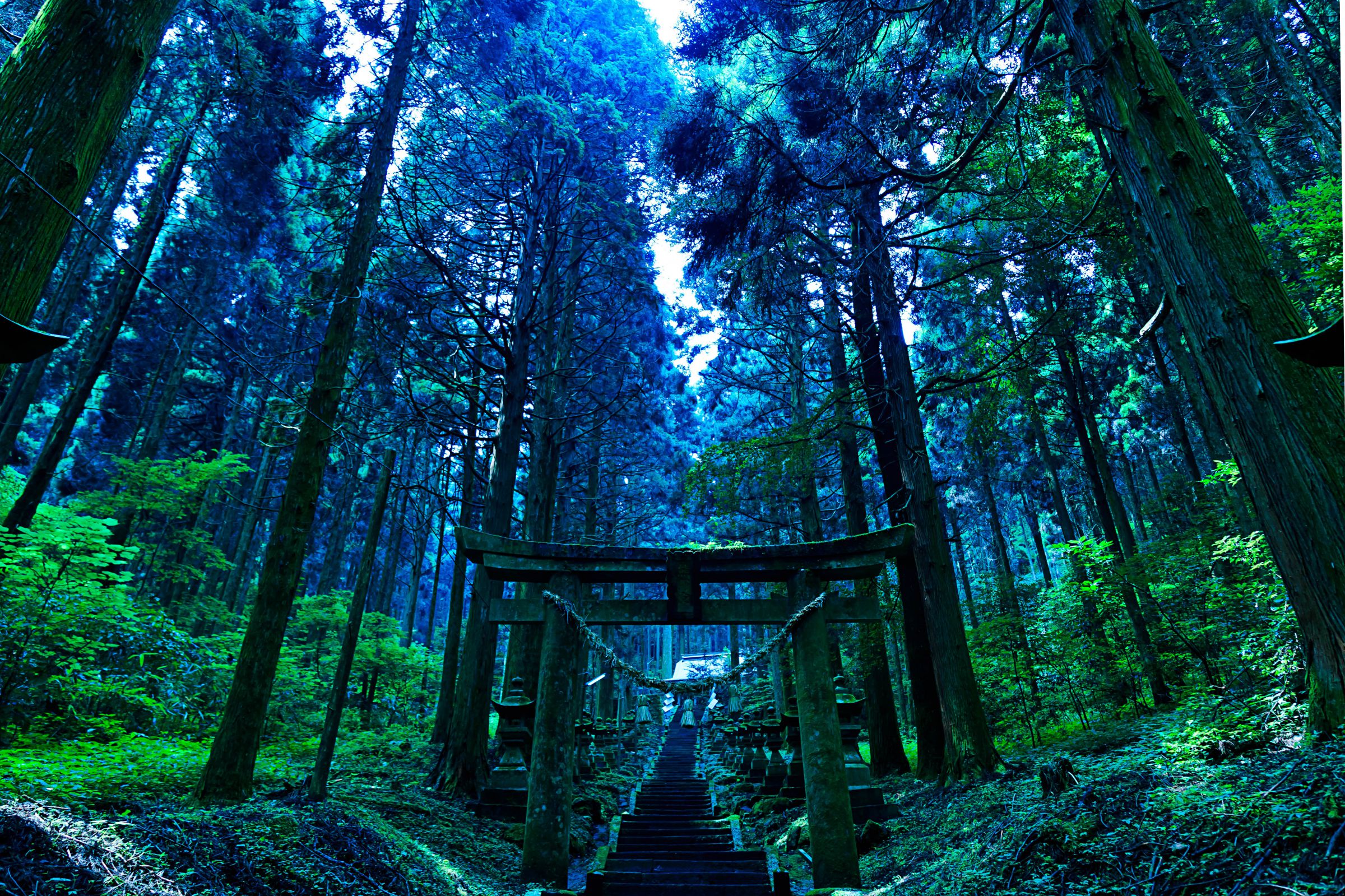 熊野 座 神社