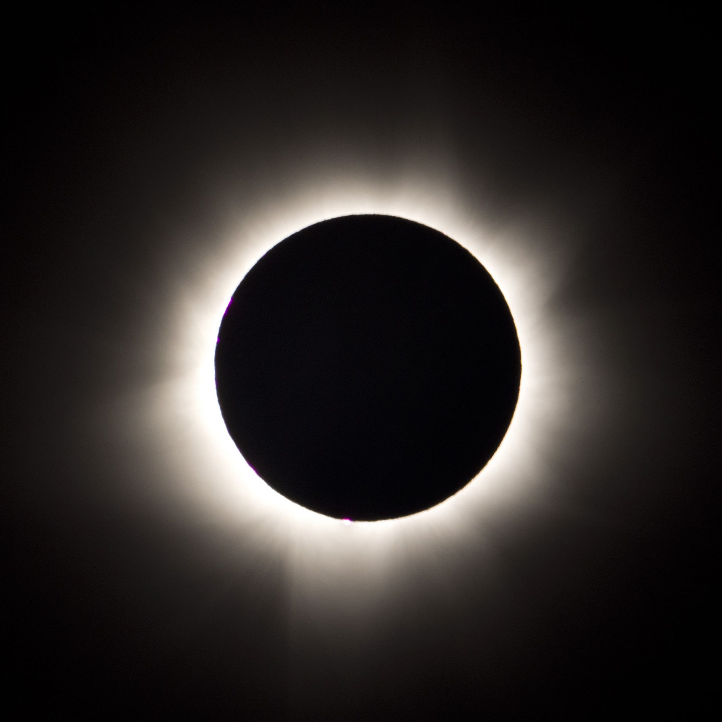 黒い太陽 | GANREF