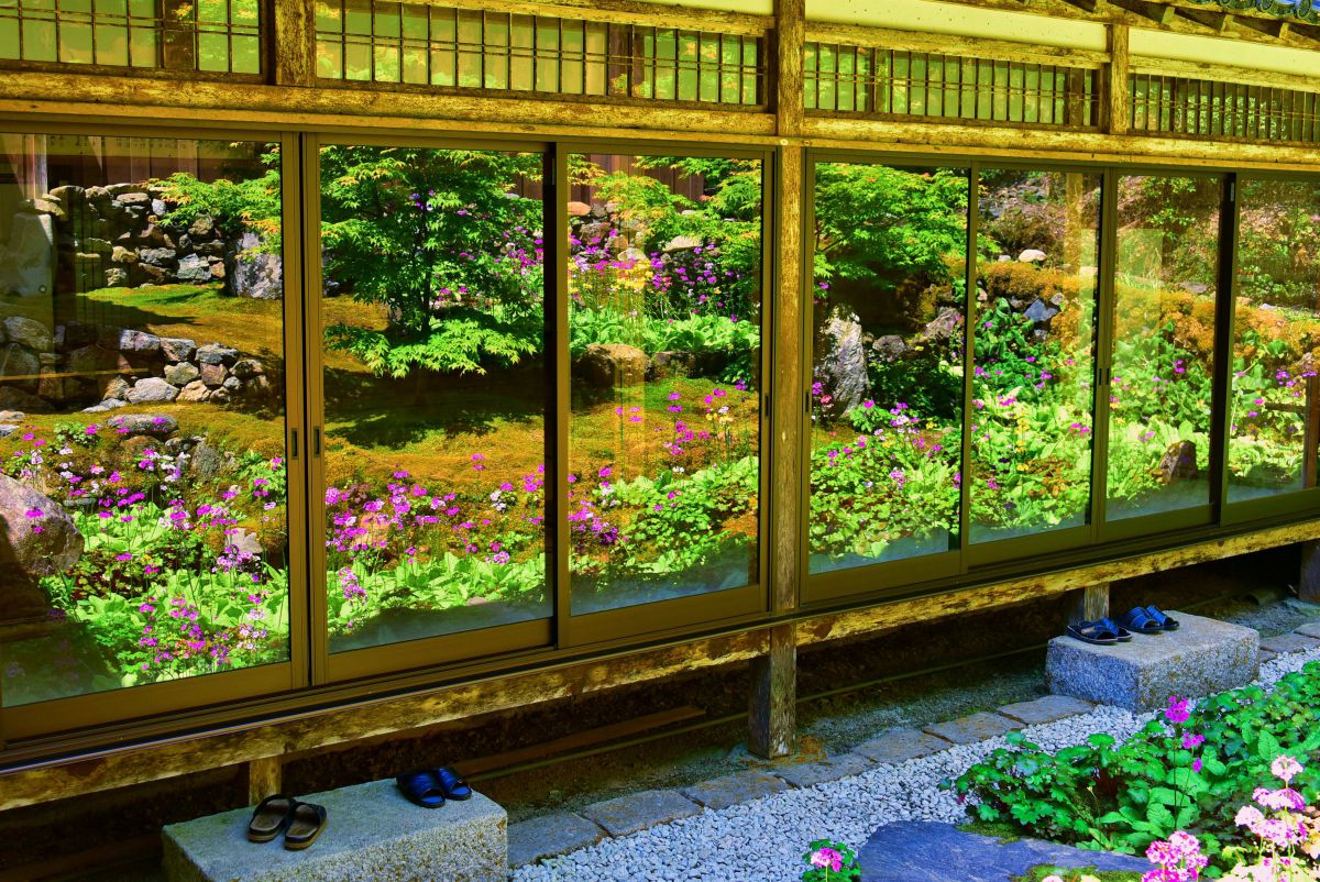 花鏡 | GANREF