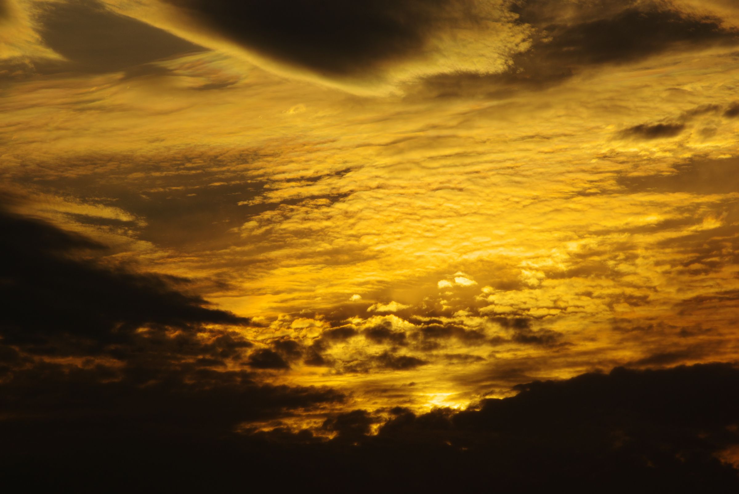 金色の絵 | GANREF