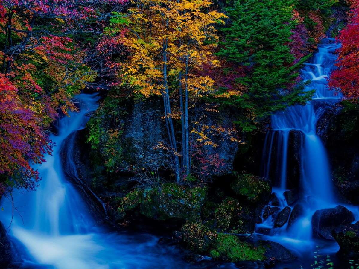 ZUIKO DIGITAL 14-54mm F2.8-3.5で撮影された写真 | 写真検索 | GANREF